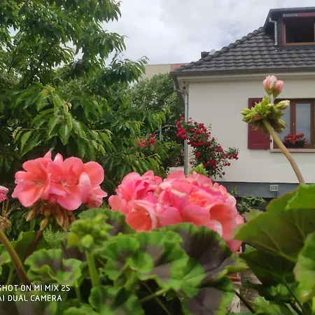 Room,chambre Privee Chez L'habitant,parking Voiture Devant La Maison,garage Moto Et Velo * Κολμάρ