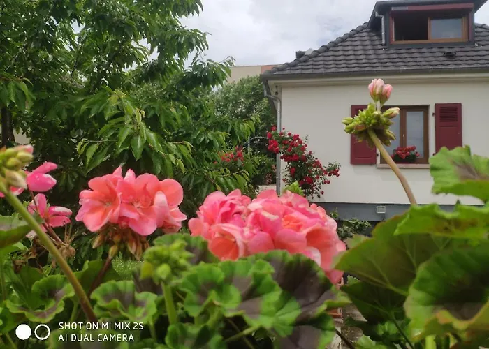 Room,chambre Privee Chez L'habitant,parking Voiture Devant La Maison,garage Moto Et Velo * كولمار